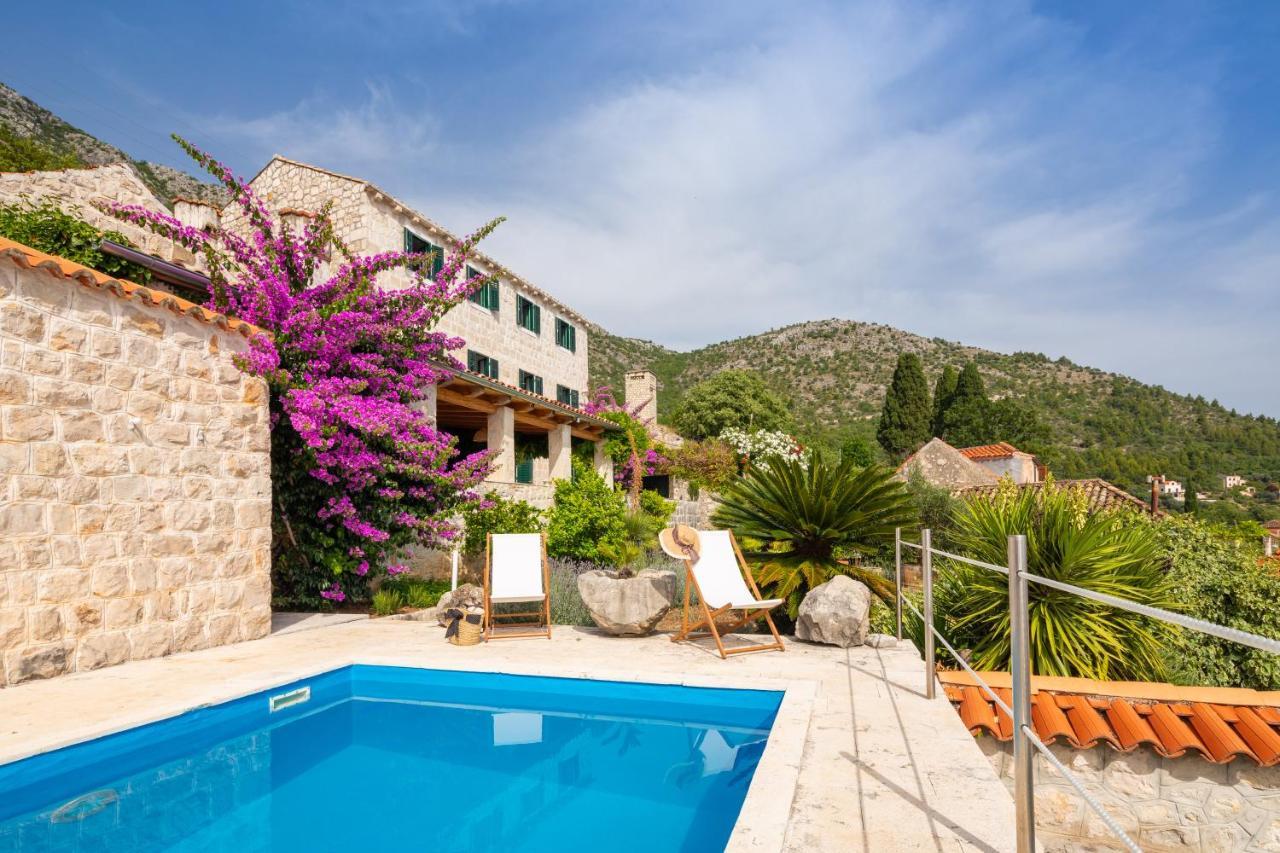 Villa Schola Brsečine Dış mekan fotoğraf