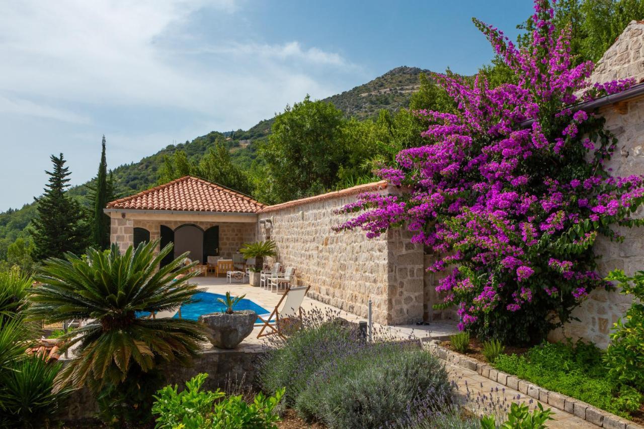 Villa Schola Brsečine Dış mekan fotoğraf