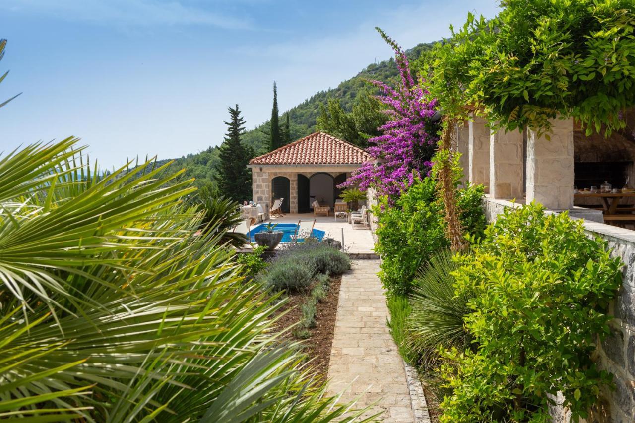 Villa Schola Brsečine Dış mekan fotoğraf